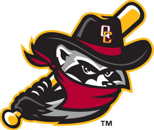 Quad Cities River Bandits 2014-Pres Alternate Logo diy iron on transfers for T-shirts